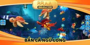 ban-ca-ngu-long-anh-dai-dien