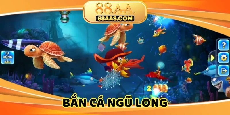 ban-ca-ngu-long-anh-dai-dien