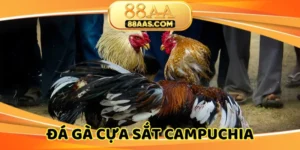 da-ga-cua-sat-campuchia