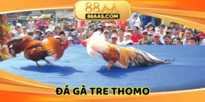da-ga-tre-thomo