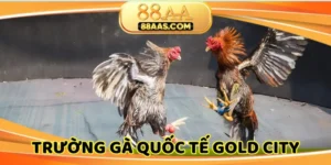 truong-ga-quoc-te-gold-city